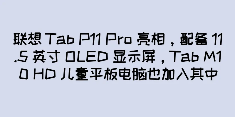联想 Tab P11 Pro 亮相，配备 11.5 英寸 OLED 显示屏，Tab M10 HD 儿童平板电脑也加入其中