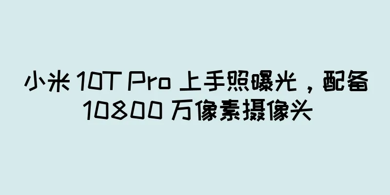 小米 10T Pro 上手照曝光，配备 10800 万像素摄像头