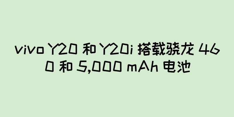 vivo Y20 和 Y20i 搭载骁龙 460 和 5,000 mAh 电池