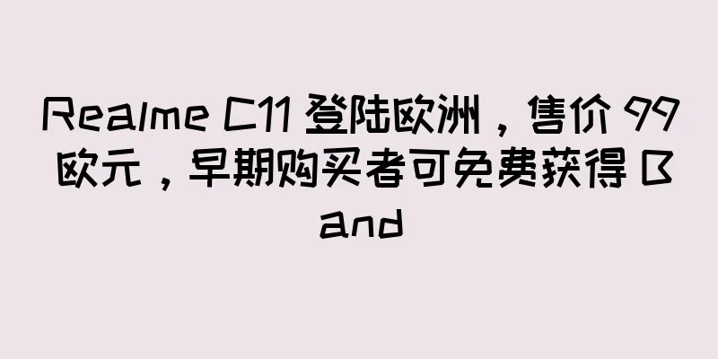 Realme C11 登陆欧洲，售价 99 欧元，早期购买者可免费获得 Band