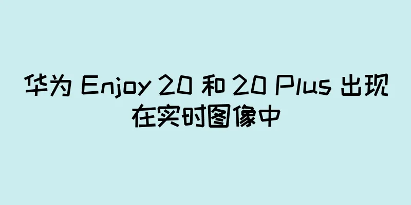 华为 Enjoy 20 和 20 Plus 出现在实时图像中
