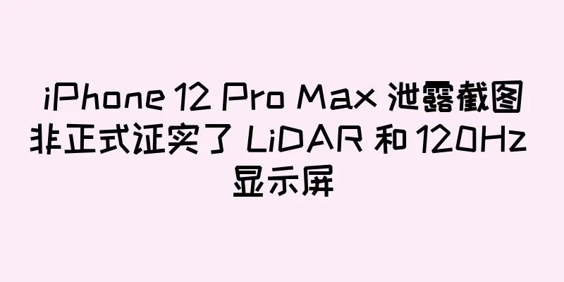 iPhone 12 Pro Max 泄露截图非正式证实了 LiDAR 和 120Hz 显示屏
