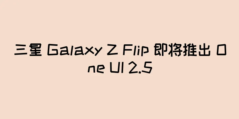 三星 Galaxy Z Flip 即将推出 One UI 2.5