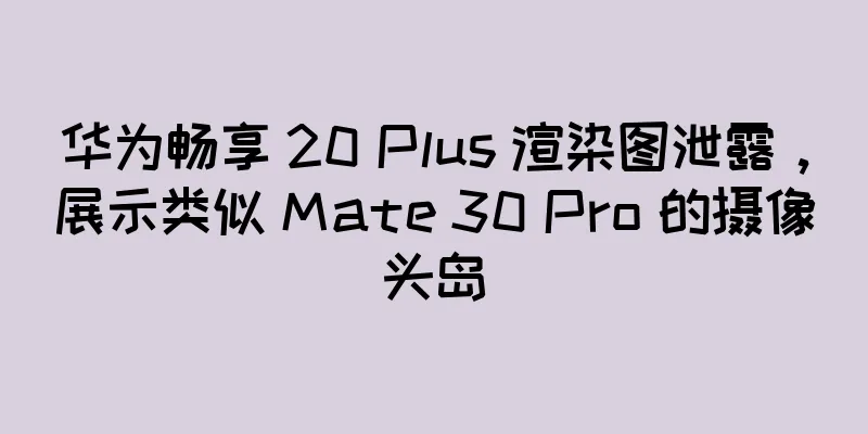 华为畅享 20 Plus 渲染图泄露，展示类似 Mate 30 Pro 的摄像头岛