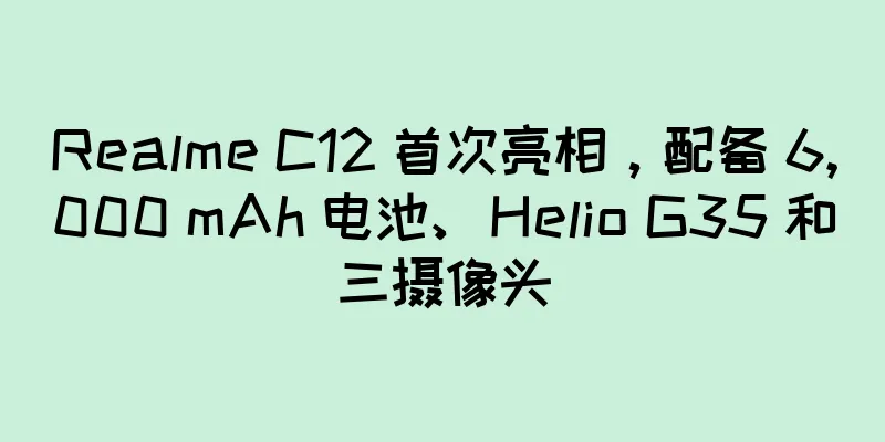 Realme C12 首次亮相，配备 6,000 mAh 电池、Helio G35 和三摄像头