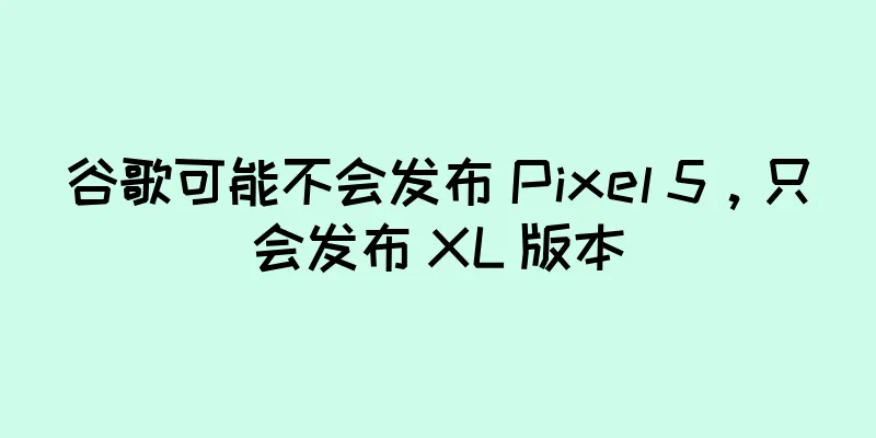 谷歌可能不会发布 Pixel 5，只会发布 XL 版本