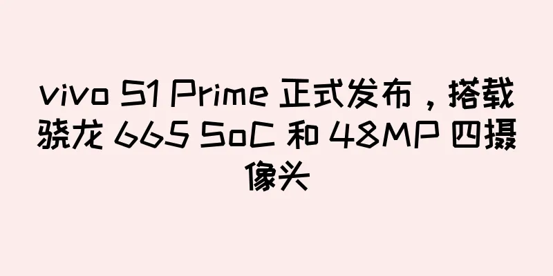vivo S1 Prime 正式发布，搭载骁龙 665 SoC 和 48MP 四摄像头