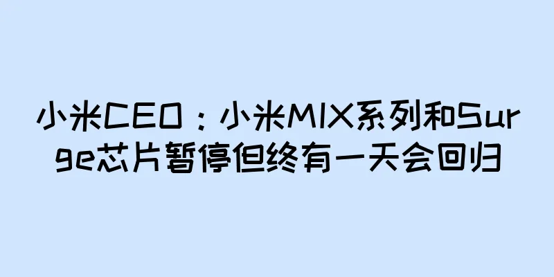 小米CEO：小米MIX系列和Surge芯片暂停但终有一天会回归