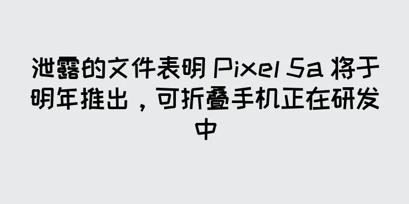 泄露的文件表明 Pixel 5a 将于明年推出，可折叠手机正在研发中