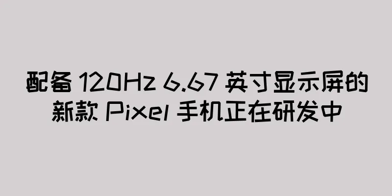 配备 120Hz 6.67 英寸显示屏的新款 Pixel 手机正在研发中