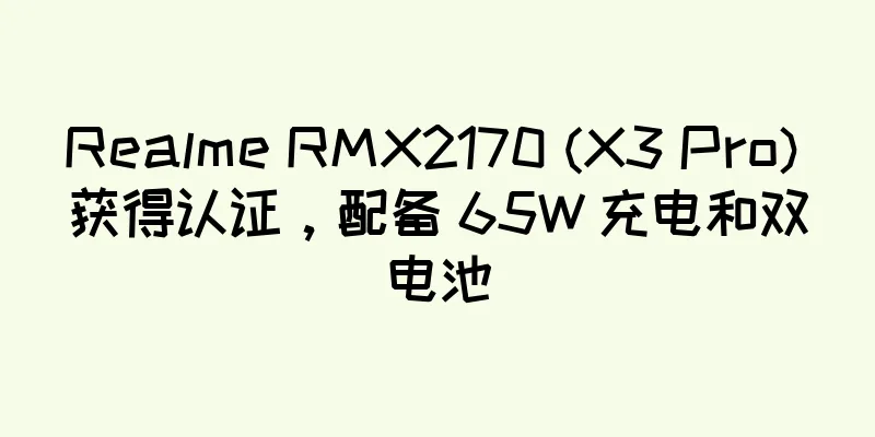 Realme RMX2170 (X3 Pro) 获得认证，配备 65W 充电和双电池