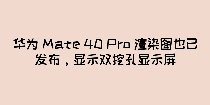 华为 Mate 40 Pro 渲染图也已发布，显示双挖孔显示屏