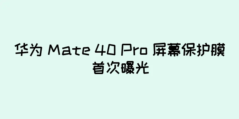 华为 Mate 40 Pro 屏幕保护膜首次曝光