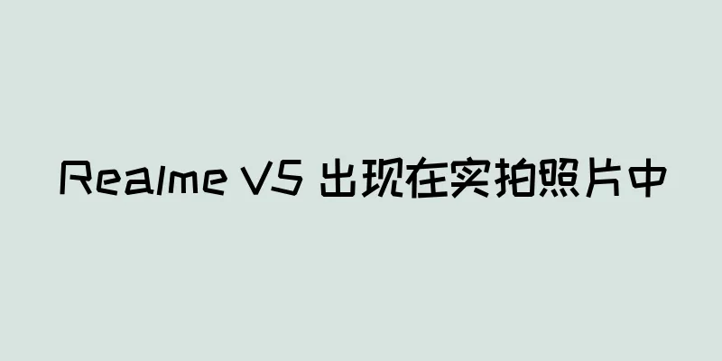 Realme V5 出现在实拍照片中