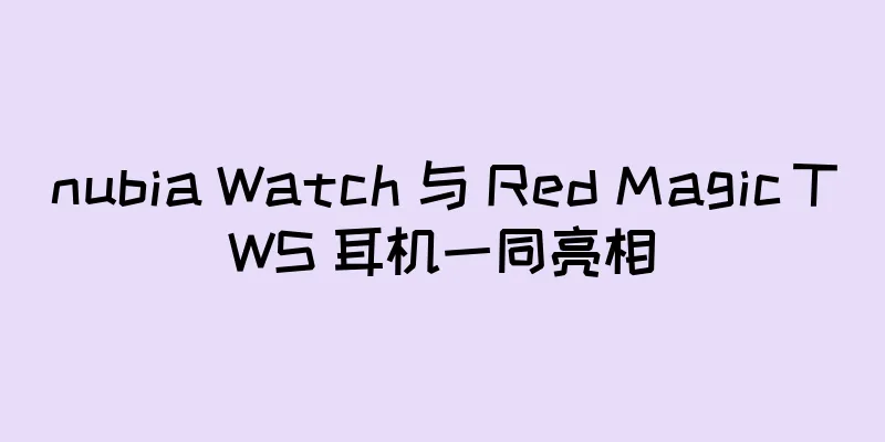 nubia Watch 与 Red Magic TWS 耳机一同亮相