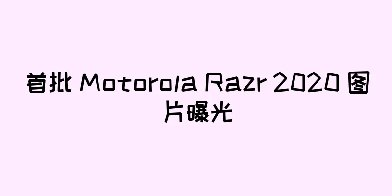 首批 Motorola Razr 2020 图片曝光