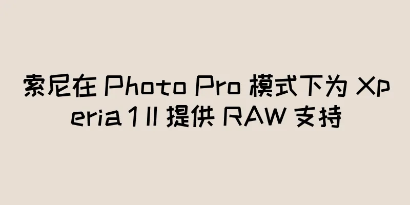 索尼在 Photo Pro 模式下为 Xperia 1 II 提供 RAW 支持