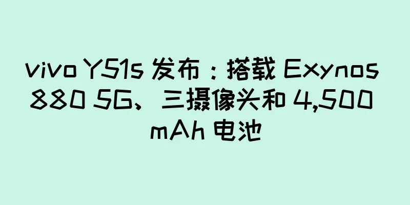 vivo Y51s 发布：搭载 Exynos 880 5G、三摄像头和 4,500 mAh 电池