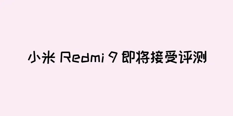 小米 Redmi 9 即将接受评测