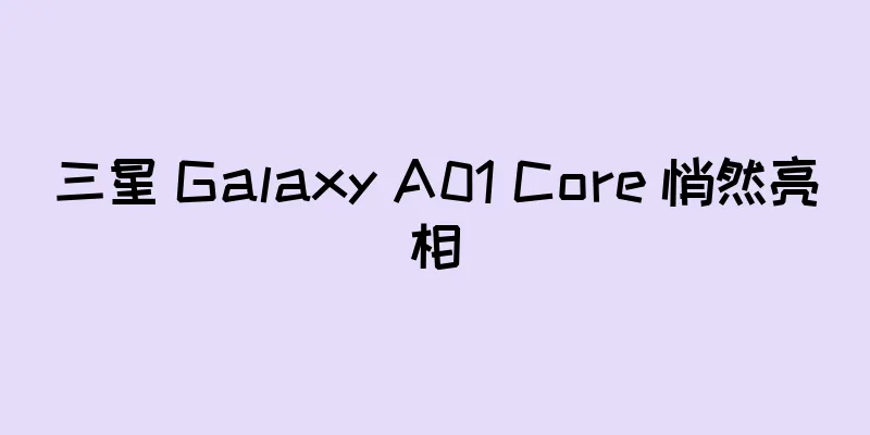 三星 Galaxy A01 Core 悄然亮相