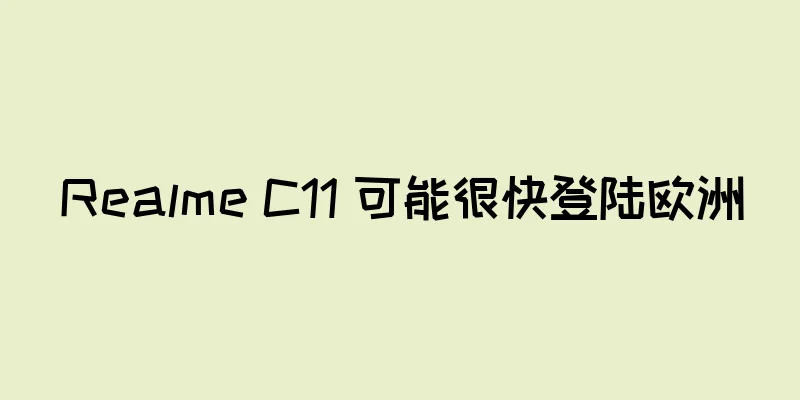 Realme C11 可能很快登陆欧洲