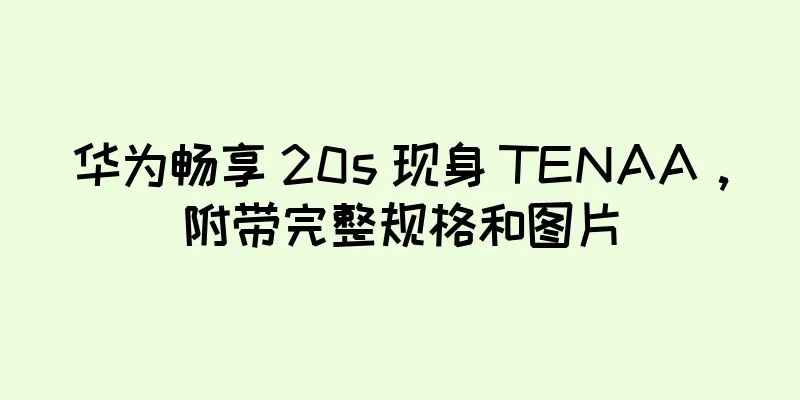 华为畅享 20s 现身 TENAA，附带完整规格和图片