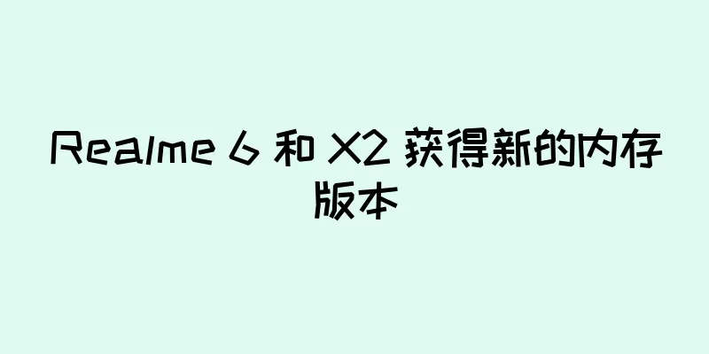 Realme 6 和 X2 获得新的内存版本
