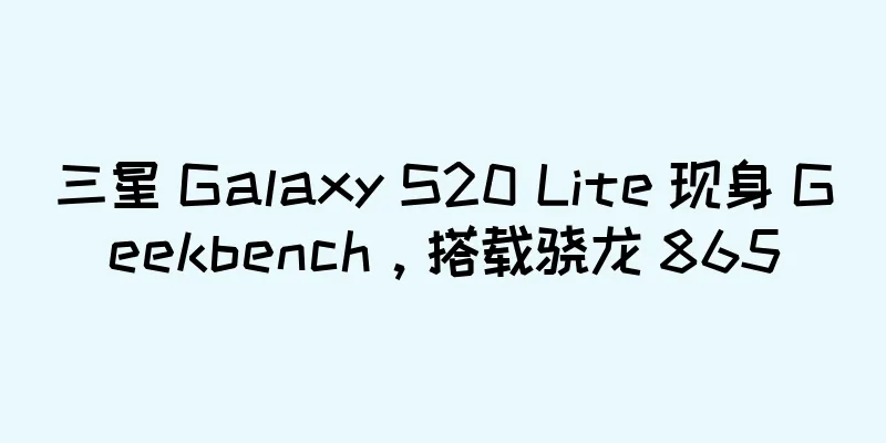 三星 Galaxy S20 Lite 现身 Geekbench，搭载骁龙 865