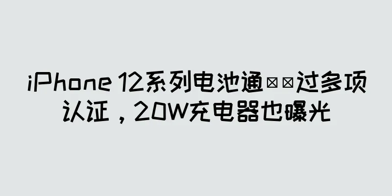 iPhone 12系列电池通​​过多项认证，20W充电器也曝光
