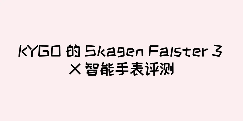 KYGO 的 Skagen Falster 3 X 智能手表评测