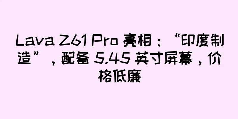 Lava Z61 Pro 亮相：“印度制造”，配备 5.45 英寸屏幕，价格低廉