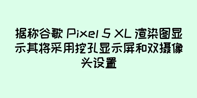 据称谷歌 Pixel 5 XL 渲染图显示其将采用挖孔显示屏和双摄像头设置