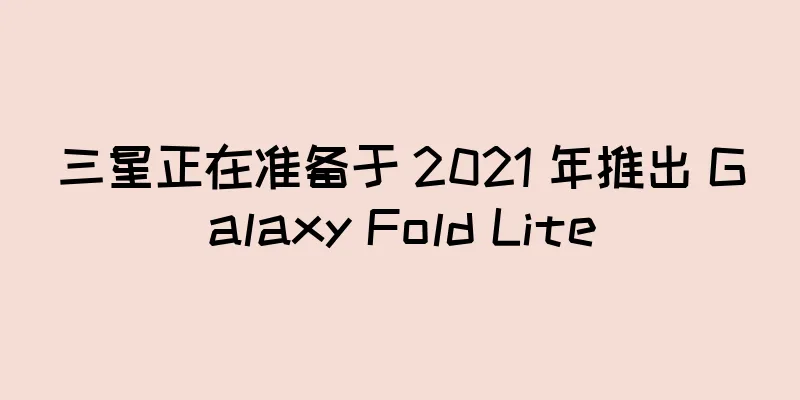 三星正在准备于 2021 年推出 Galaxy Fold Lite