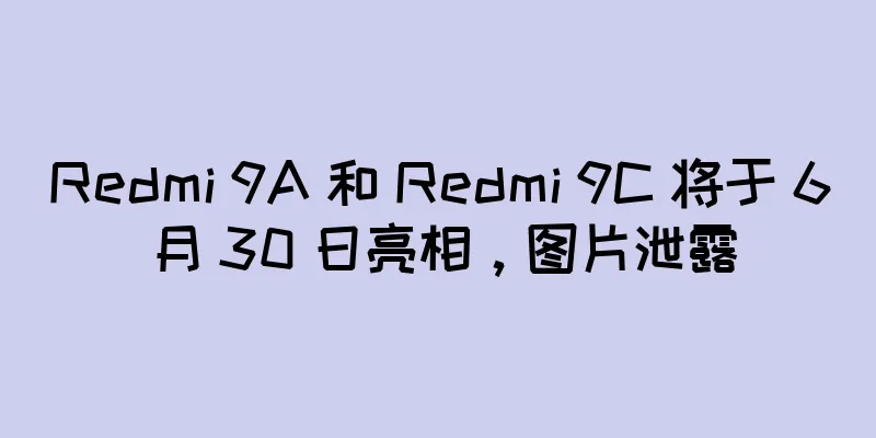 Redmi 9A 和 Redmi 9C 将于 6 月 30 日亮相，图片泄露