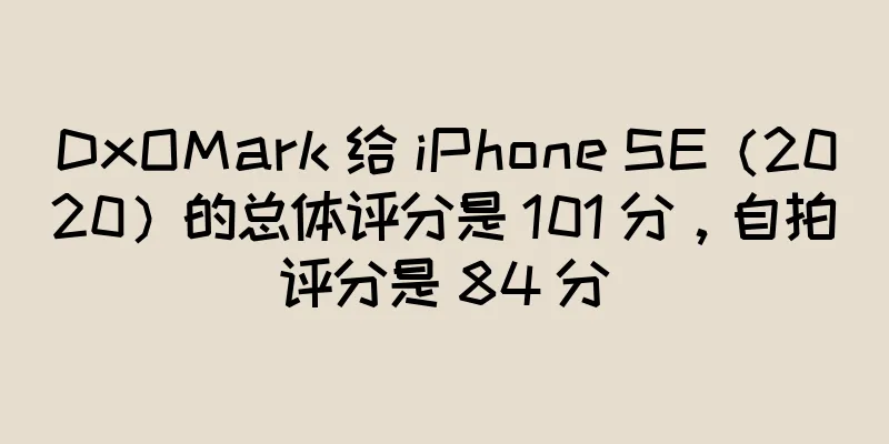 DxOMark 给 iPhone SE（2020）的总体评分是 101 分，自拍评分是 84 分