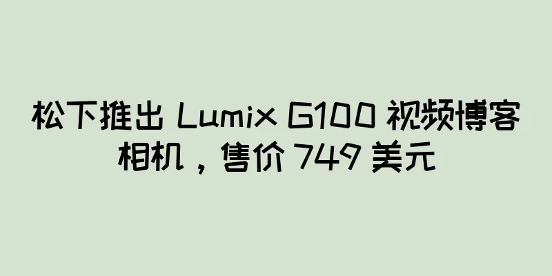 松下推出 Lumix G100 视频博客相机，售价 749 美元