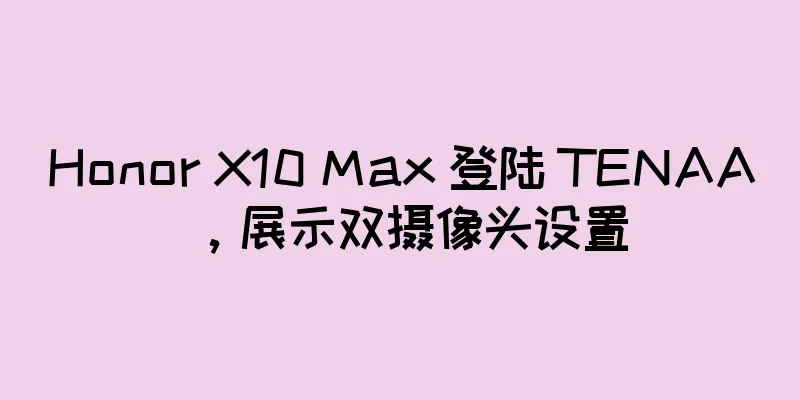 Honor X10 Max 登陆 TENAA，展示双摄像头设置