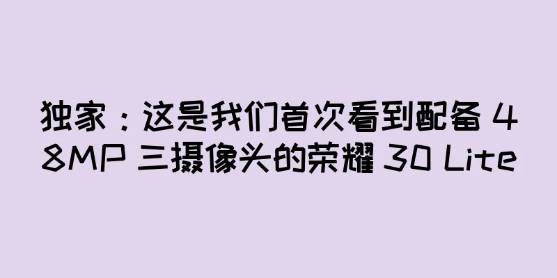 独家：这是我们首次看到配备 48MP 三摄像头的荣耀 30 Lite