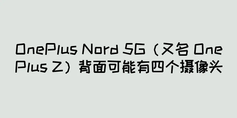 OnePlus Nord 5G（又名 OnePlus Z）背面可能有四个摄像头