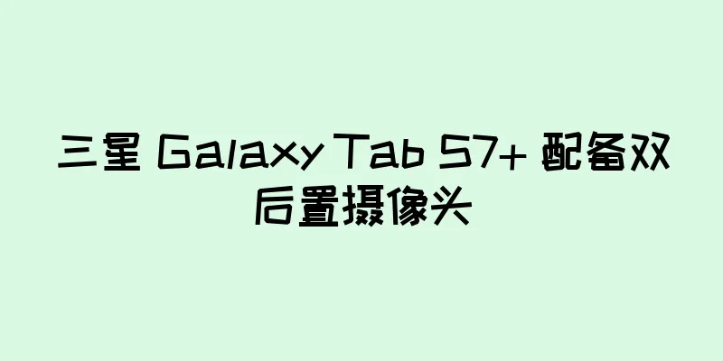 三星 Galaxy Tab S7+ 配备双后置摄像头