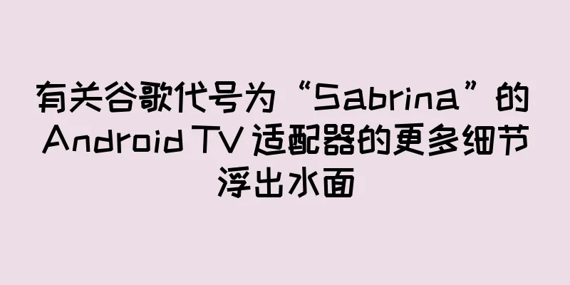 有关谷歌代号为“Sabrina”的 Android TV 适配器的更多细节浮出水面