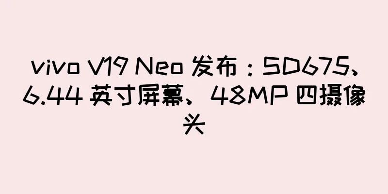 vivo V19 Neo 发布：SD675、6.44 英寸屏幕、48MP 四摄像头