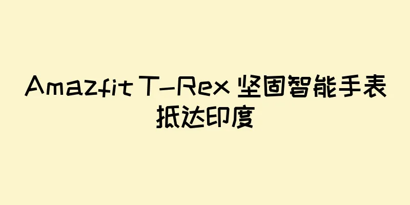 Amazfit T-Rex 坚固智能手表抵达印度