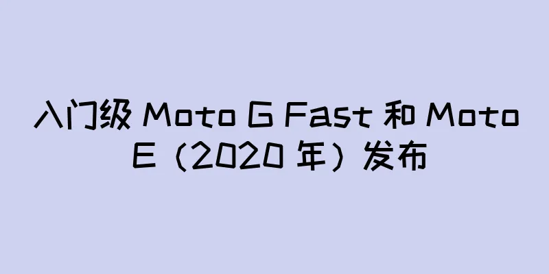 入门级 Moto G Fast 和 Moto E（2020 年）发布