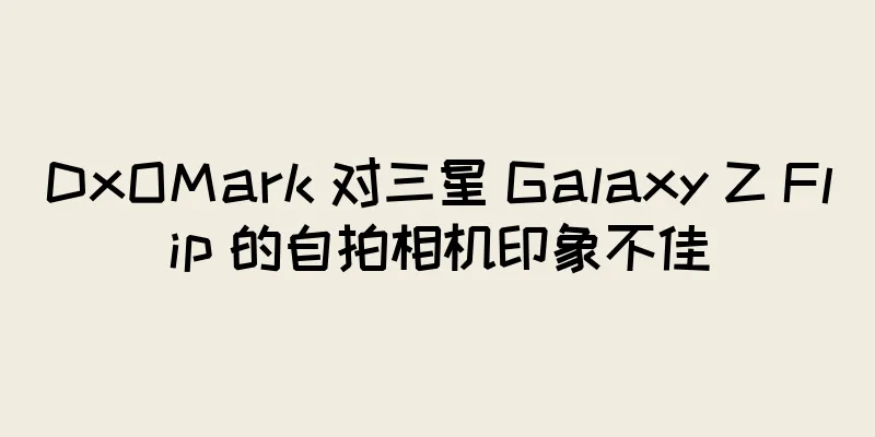 DxOMark 对三星 Galaxy Z Flip 的自拍相机印象不佳