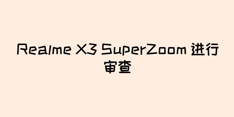 Realme X3 SuperZoom 进行审查