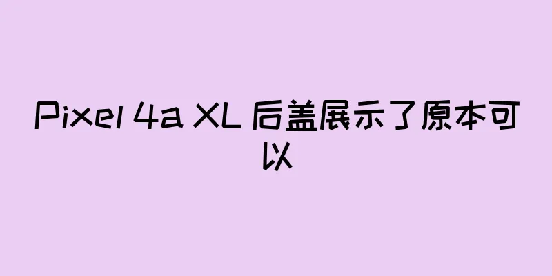 Pixel 4a XL 后盖展示了原本可以