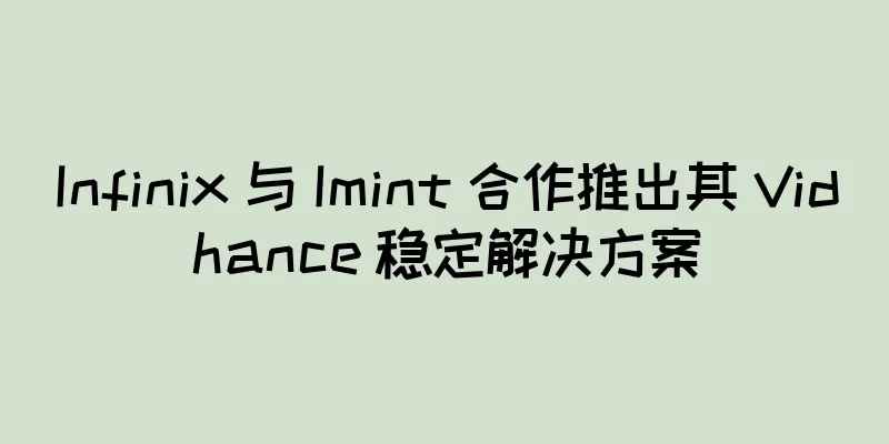Infinix 与 Imint 合作推出其 Vidhance 稳定解决方案
