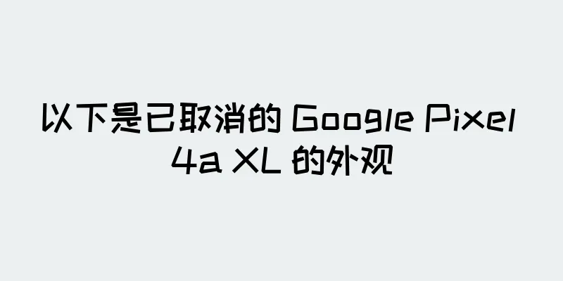 以下是已取消的 Google Pixel 4a XL 的外观