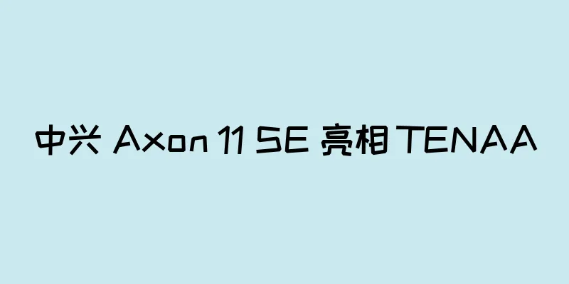中兴 Axon 11 SE 亮相 TENAA